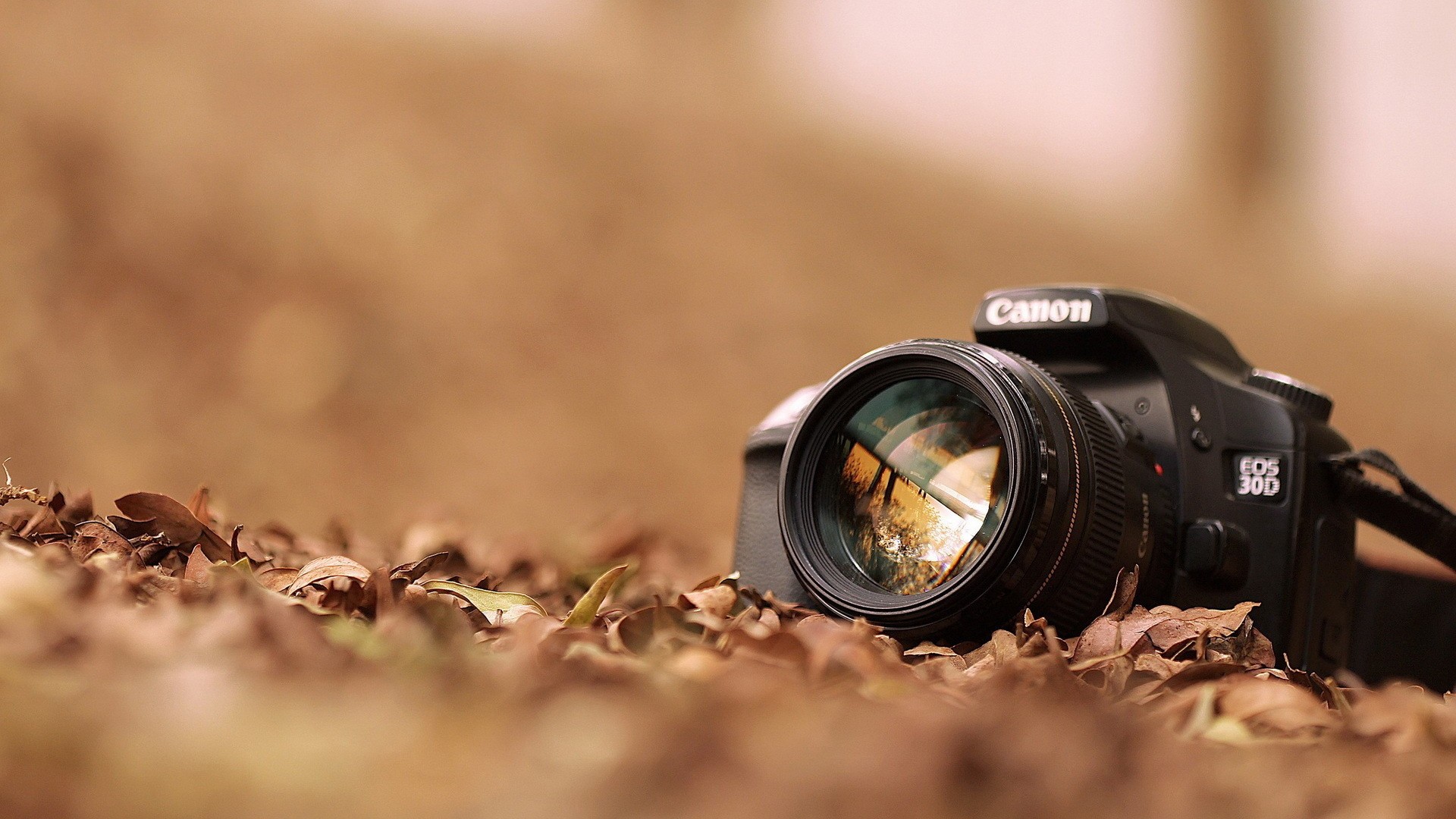 close up, Technology, Cameras, Bokeh, Electronics, Digital, Art, Canon, Eos Wallpaper