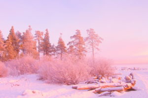 nature, Winter, Landscapes, Trees, Snow, Sunrises, Sunsets