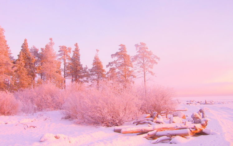 nature, Winter, Landscapes, Trees, Snow, Sunrises, Sunsets HD Wallpaper Desktop Background