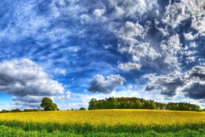 clouds, Landscapes, Grass, Fields, Hdr, Photography