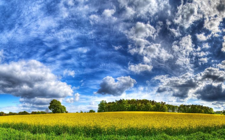 clouds, Landscapes, Grass, Fields, Hdr, Photography HD Wallpaper Desktop Background