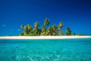 blue, Paradise, Palm, Trees, Sea, Beaches