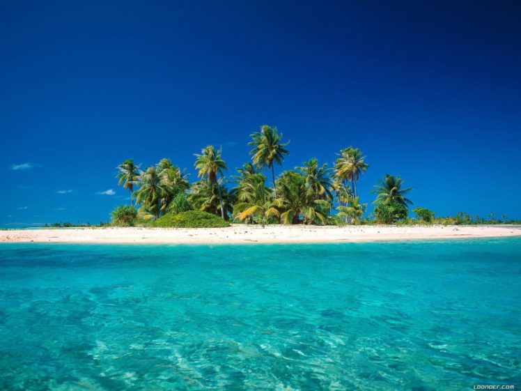 blue, Paradise, Palm, Trees, Sea, Beaches HD Wallpaper Desktop Background