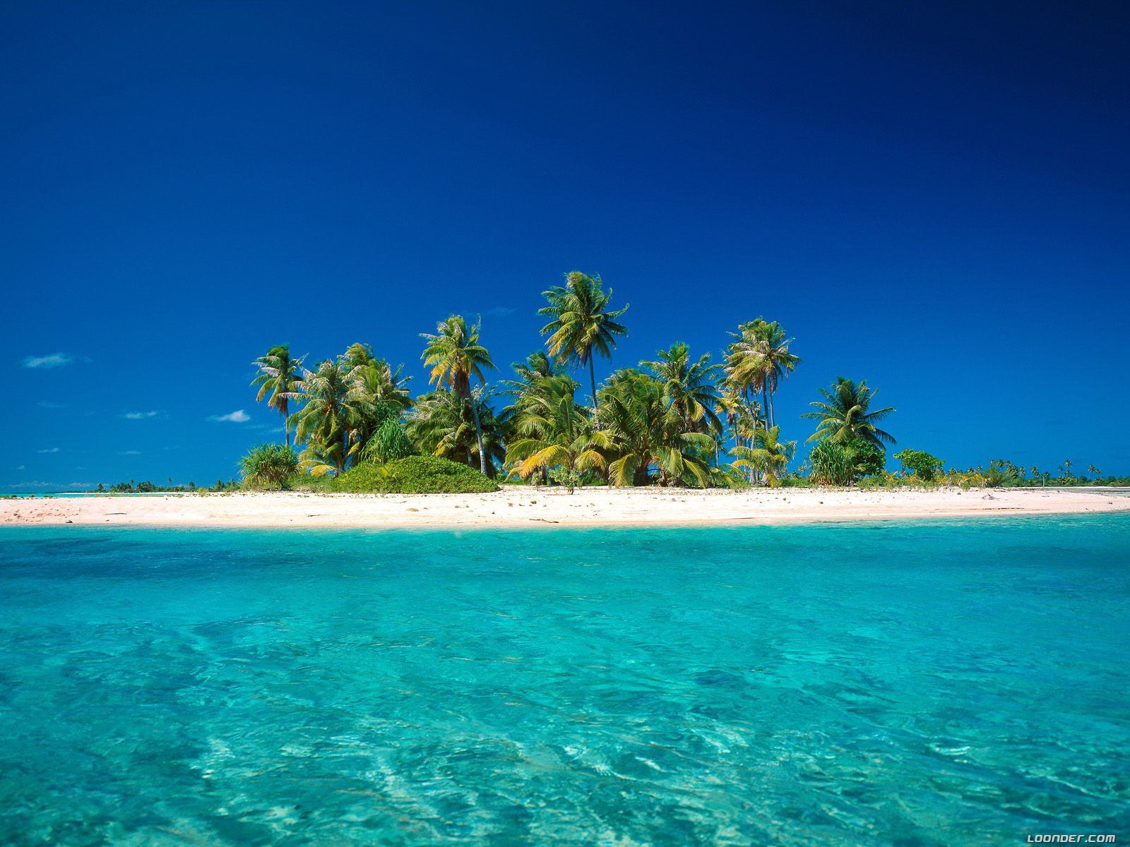 blue, Paradise, Palm, Trees, Sea, Beaches Wallpaper