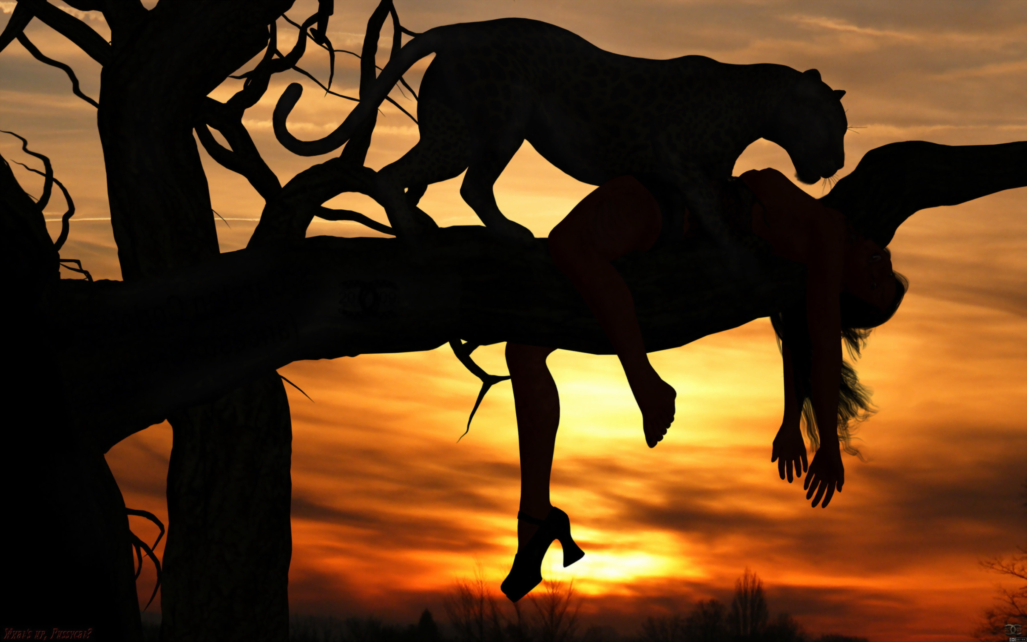 animals, Cats, Dark, Horror, Scary, Creepy, Macabre, Situations, Mood,  Women, Females, Girls, Manipulations, Cg, Digital art, Sunset, Sunrise,  Africa, Leopards Wallpapers HD / Desktop and Mobile Backgrounds