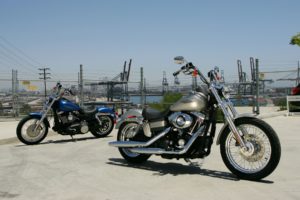 motorbikes, Harley davidson