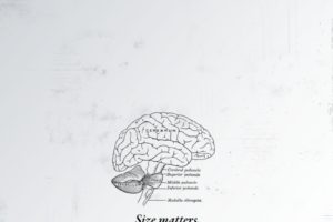 brain, Drawings, Simple, Background