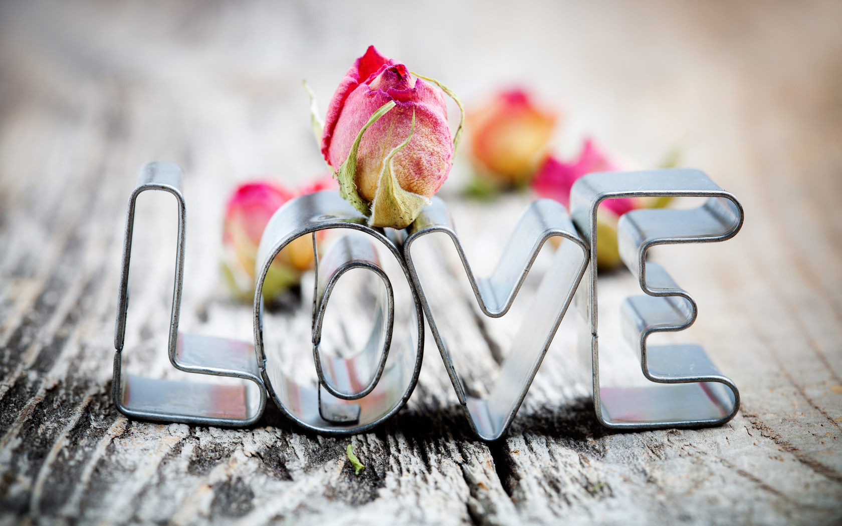 love, Romance, Words, Statements, Valentines day, Holidays, Valentines Wallpaper
