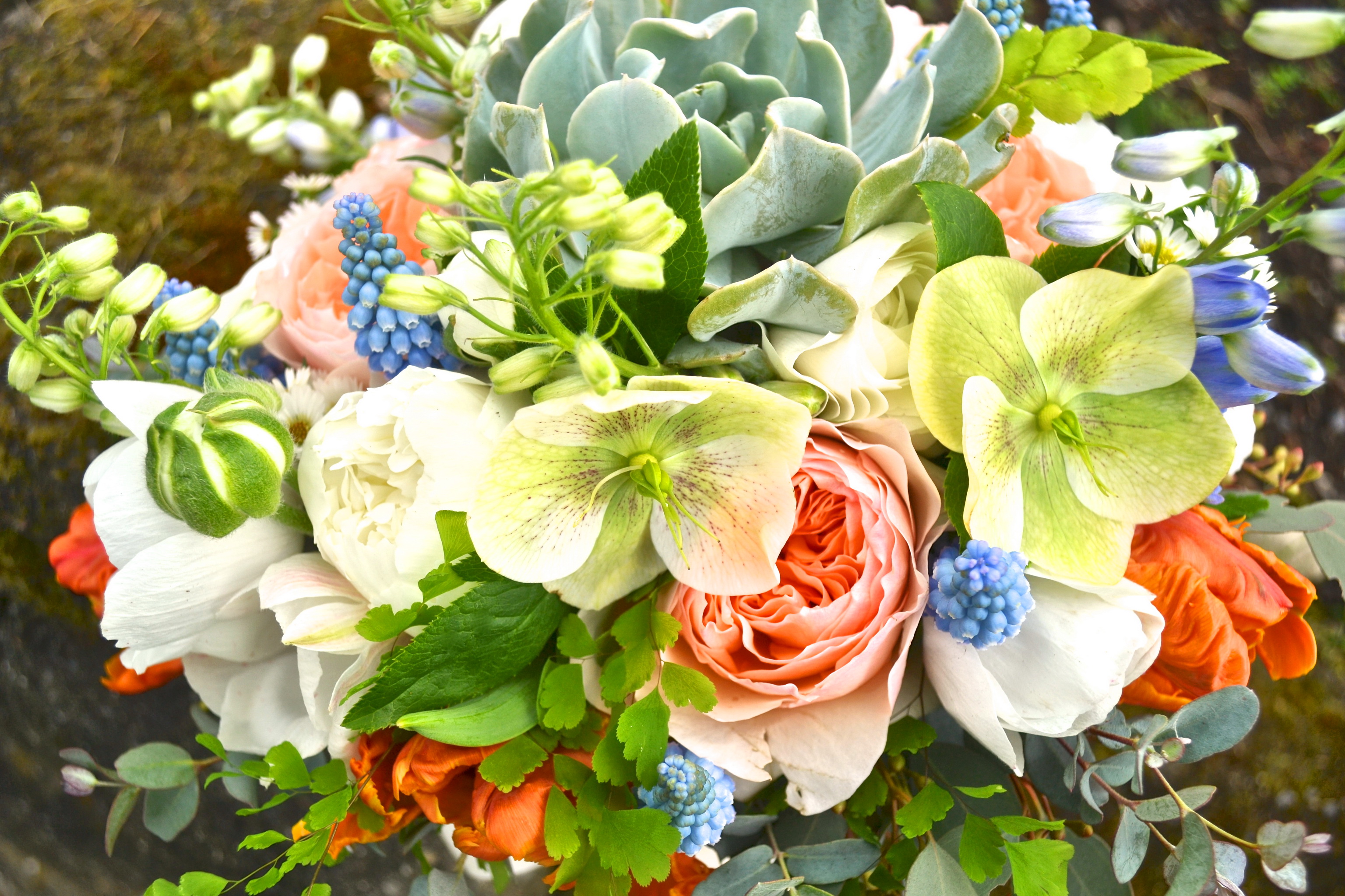 bouquet, Delphinium, Tulips, Ranunculus, Hyacinths, Flowers Wallpaper