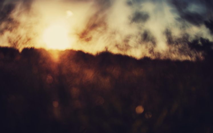 sunset, Grass, Fields, Summer, Bokeh, Warm HD Wallpaper Desktop Background