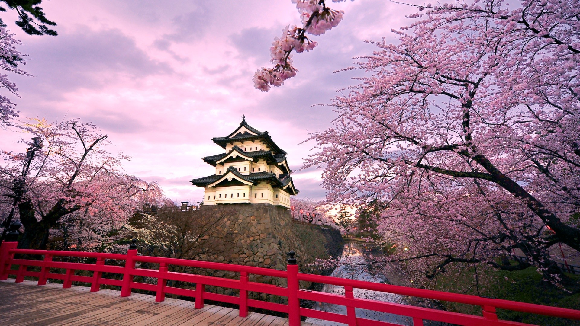 japan, Cherry, Blossoms, Blossoms, Temples, Japanese, Bridge Wallpaper