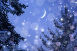 winter, Snow, Snowflakes, Christmas, Trees, Forests, Skies, Seasonal, Moons, Holidays