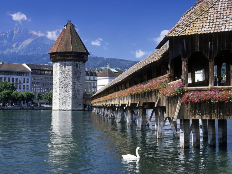 architecture, Swans, Switzerland, Rivers HD Wallpaper Desktop Background