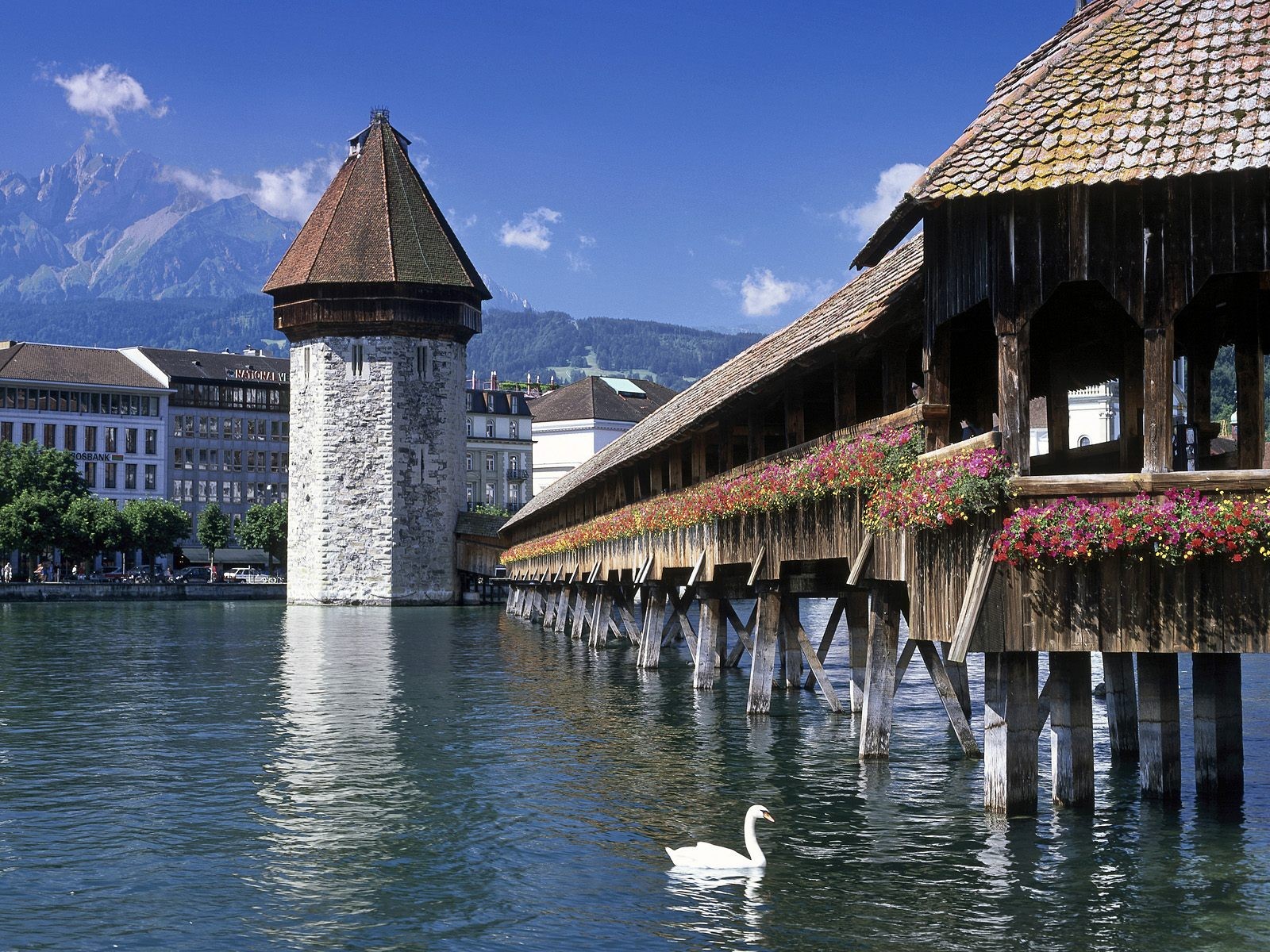 architecture, Swans, Switzerland, Rivers Wallpaper