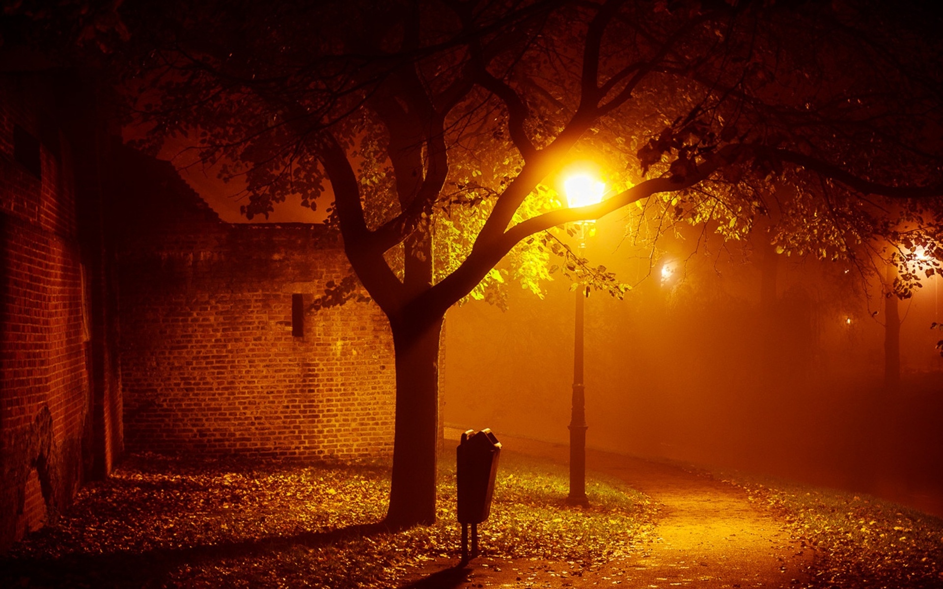landscapes, Night, Lights, Mood, Autumn, Fall, Seasonal, Fog, Mist, Places, Houses, Buildings, Architecture, Trees, Lamps, Lamp posts, Photography Wallpaper