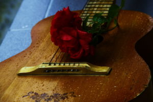 music, Guitars, Mood, Flowers, Photography, Roses