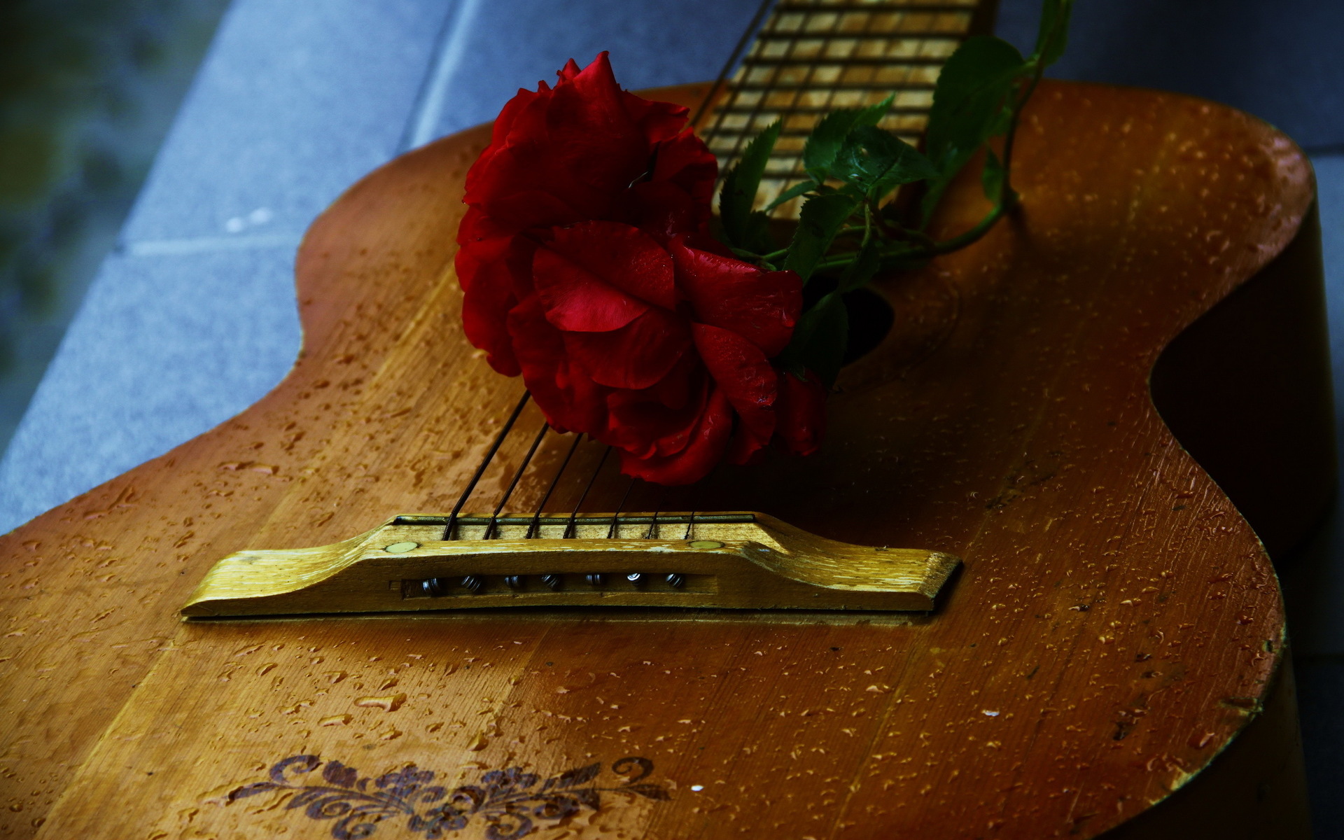 music, Guitars, Mood, Flowers, Photography, Roses Wallpaper