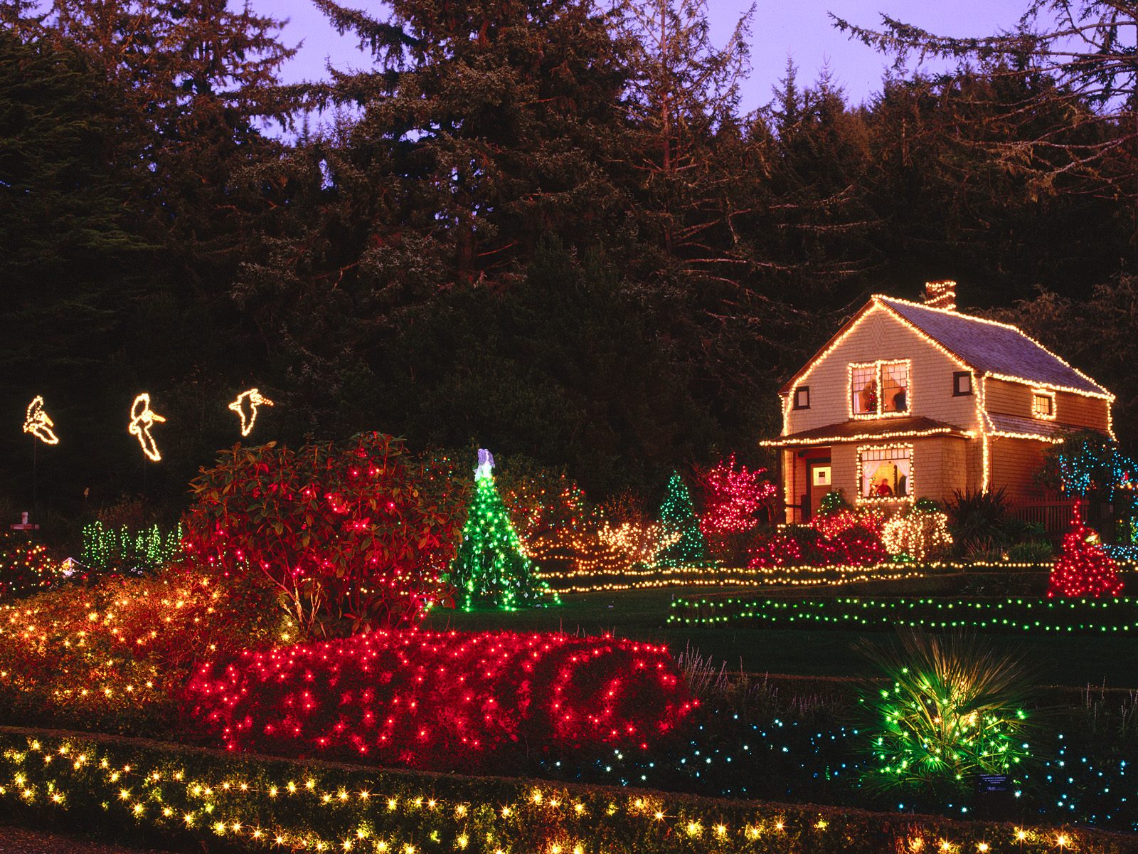 holidays, Christmas, Seasonal, Festive Wallpaper