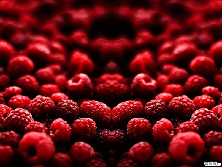 red, Fruits, Raspberries HD Wallpaper Desktop Background