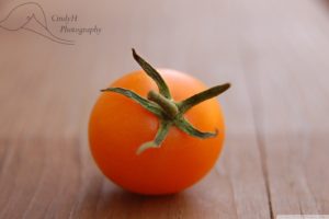 orange, Summer, Tomatoe