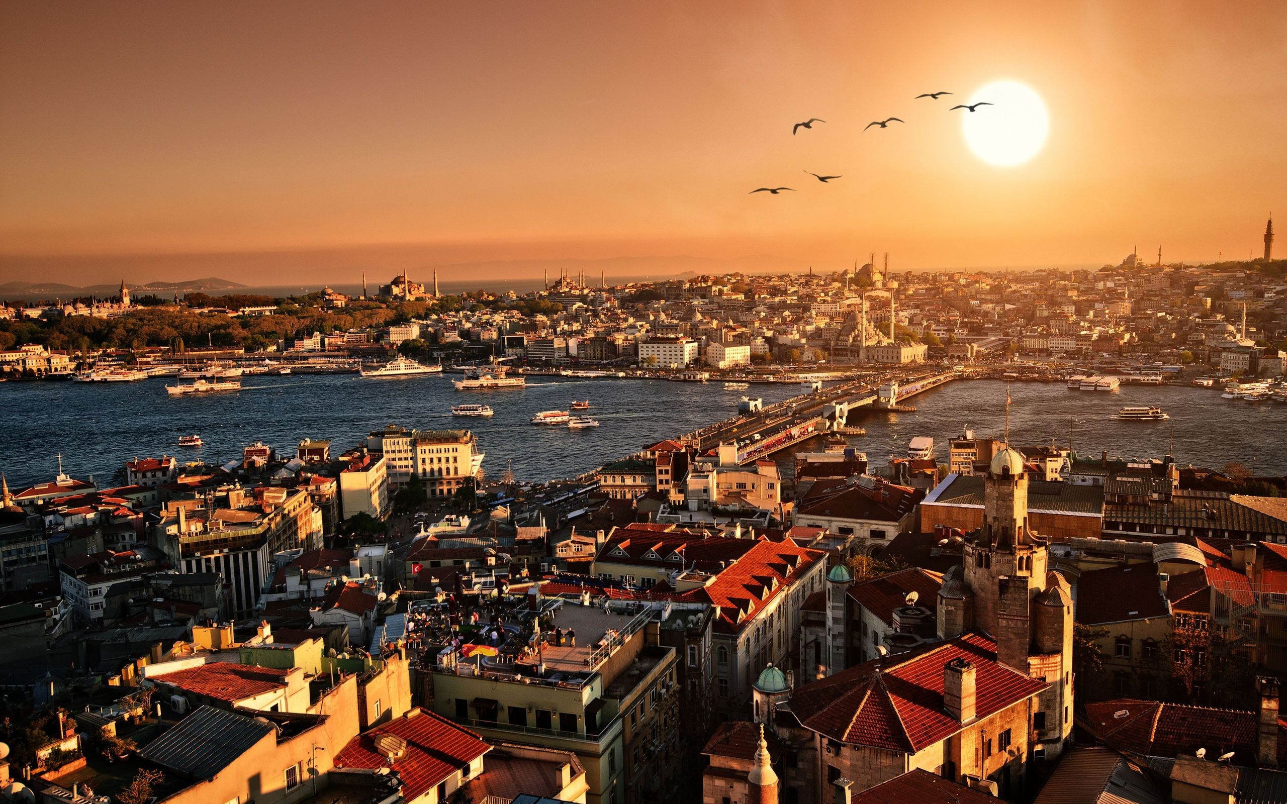 istanbul, Cities, Architecture, Buildings, Sunsets, Scenic, Sunrises, Birds, Animals, Bridges, Scenic, Cityscapes Wallpaper