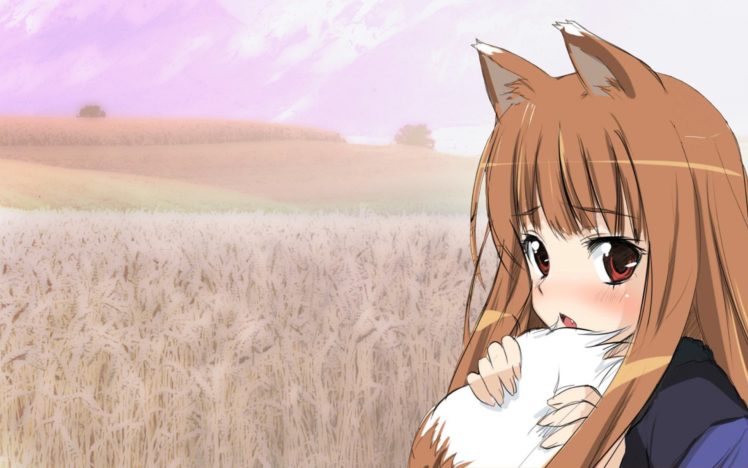 brunettes, Tails, Spice, And, Wolf, Fields, Nekomimi, Animal, Ears, Red, Eyes, Blush, Open, Mouth, Holo, The, Wise, Wolf, Skies HD Wallpaper Desktop Background