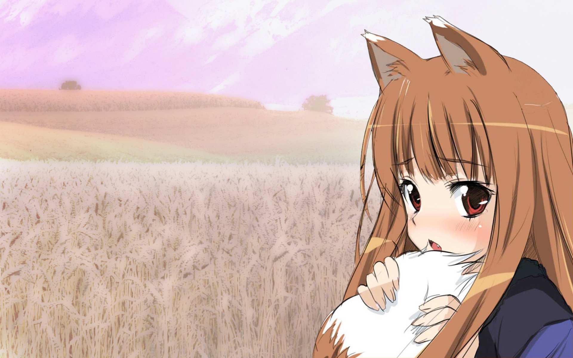 brunettes, Tails, Spice, And, Wolf, Fields, Nekomimi, Animal, Ears, Red, Eyes, Blush, Open, Mouth, Holo, The, Wise, Wolf, Skies Wallpaper