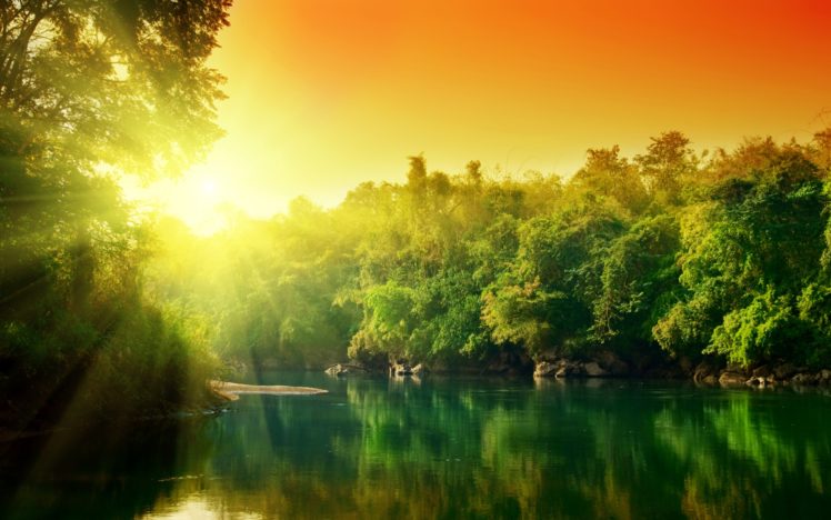 sunset, In, Jungle HD Wallpaper Desktop Background