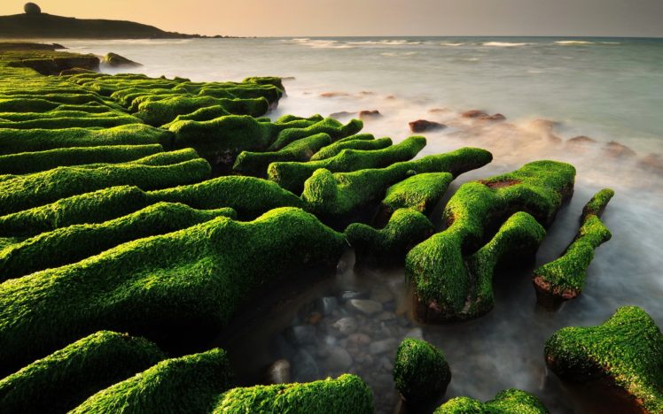 beach, Made, Of, Stones, Covered, With, Moss HD Wallpaper Desktop Background