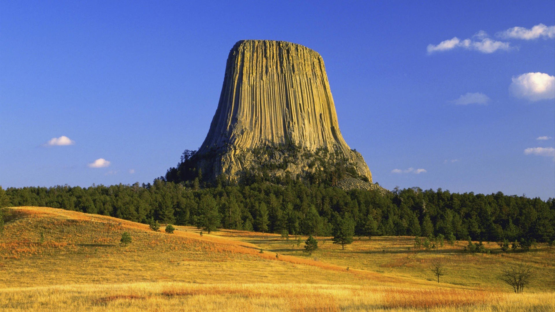 trees, Autumn, Tower, Wyoming, Plateau, Devils, Tower Wallpaper