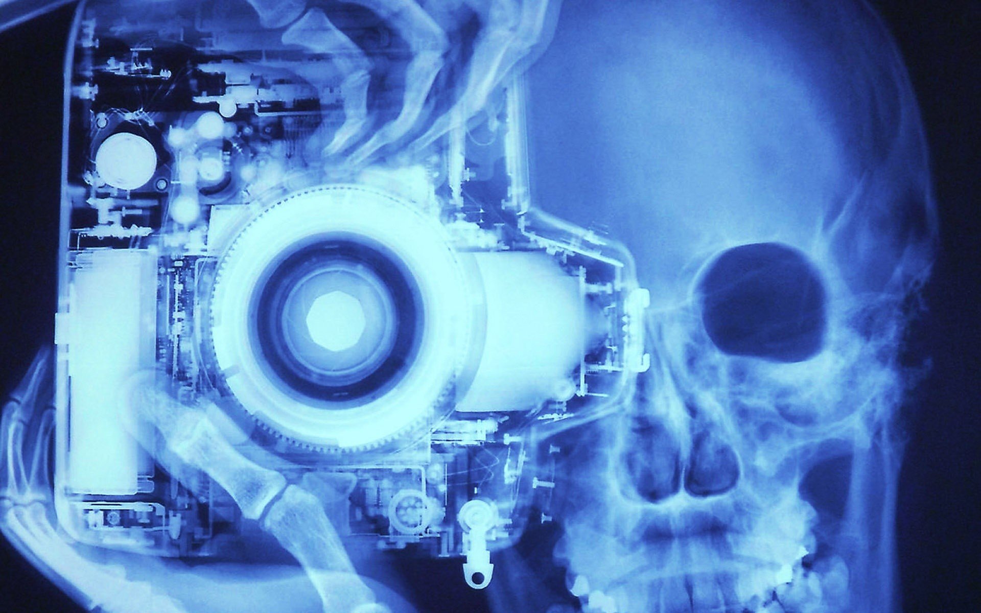 xray, Portraits Wallpaper