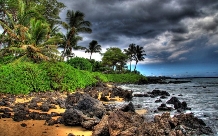 ocean, Clouds, Trees, Rocks, Hawaii, Beaches HD Wallpaper Desktop Background