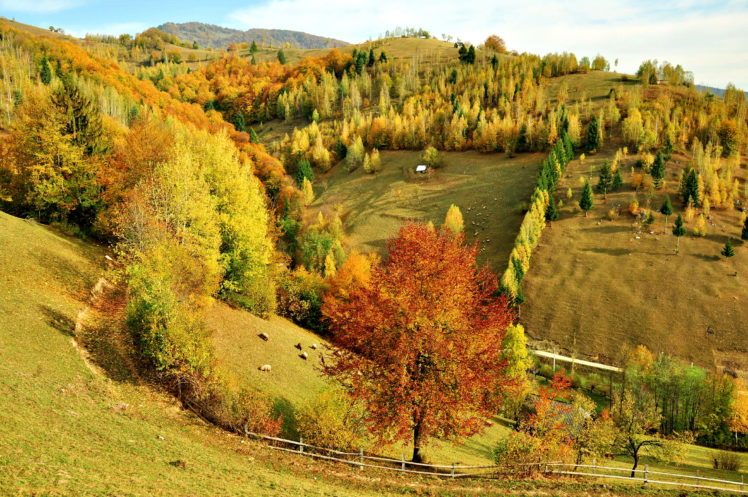 autumn, Fall, Nature, Trees, Forest, Hills, Seasons HD Wallpaper Desktop Background