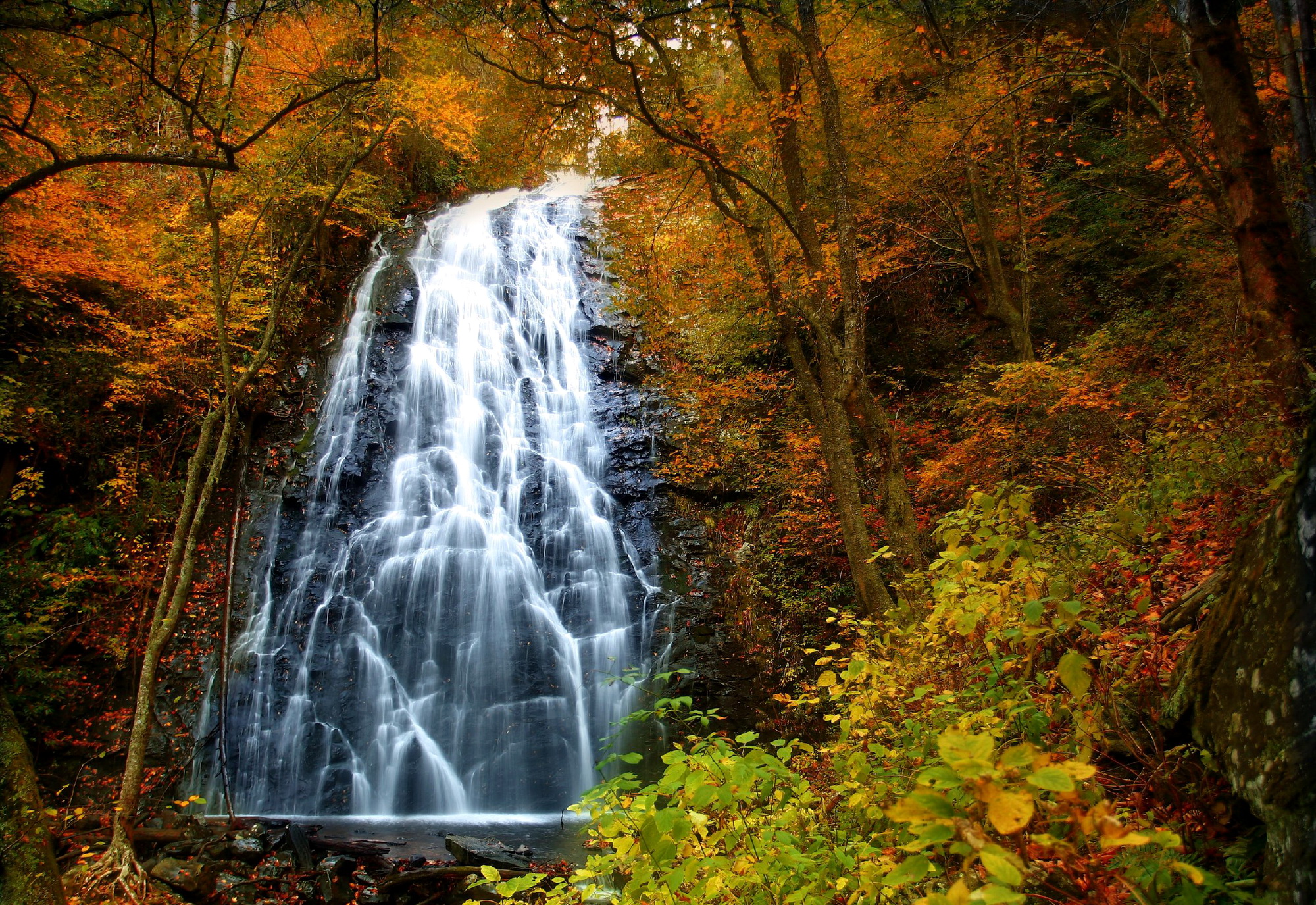 landscapes, Nature, Trees, Forest, Autumn, Fall, Seasons, Waterfall Wallpaper