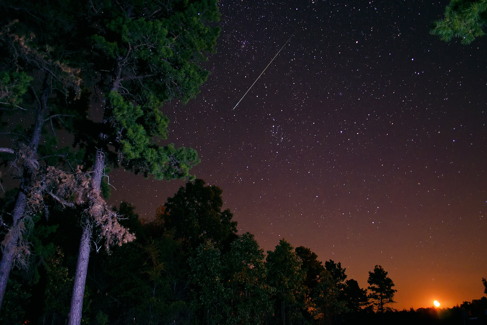 nature, Landscapes, Skies, Stars, Sci fi, Photography, Trees, Forest, Sunset Wallpaper