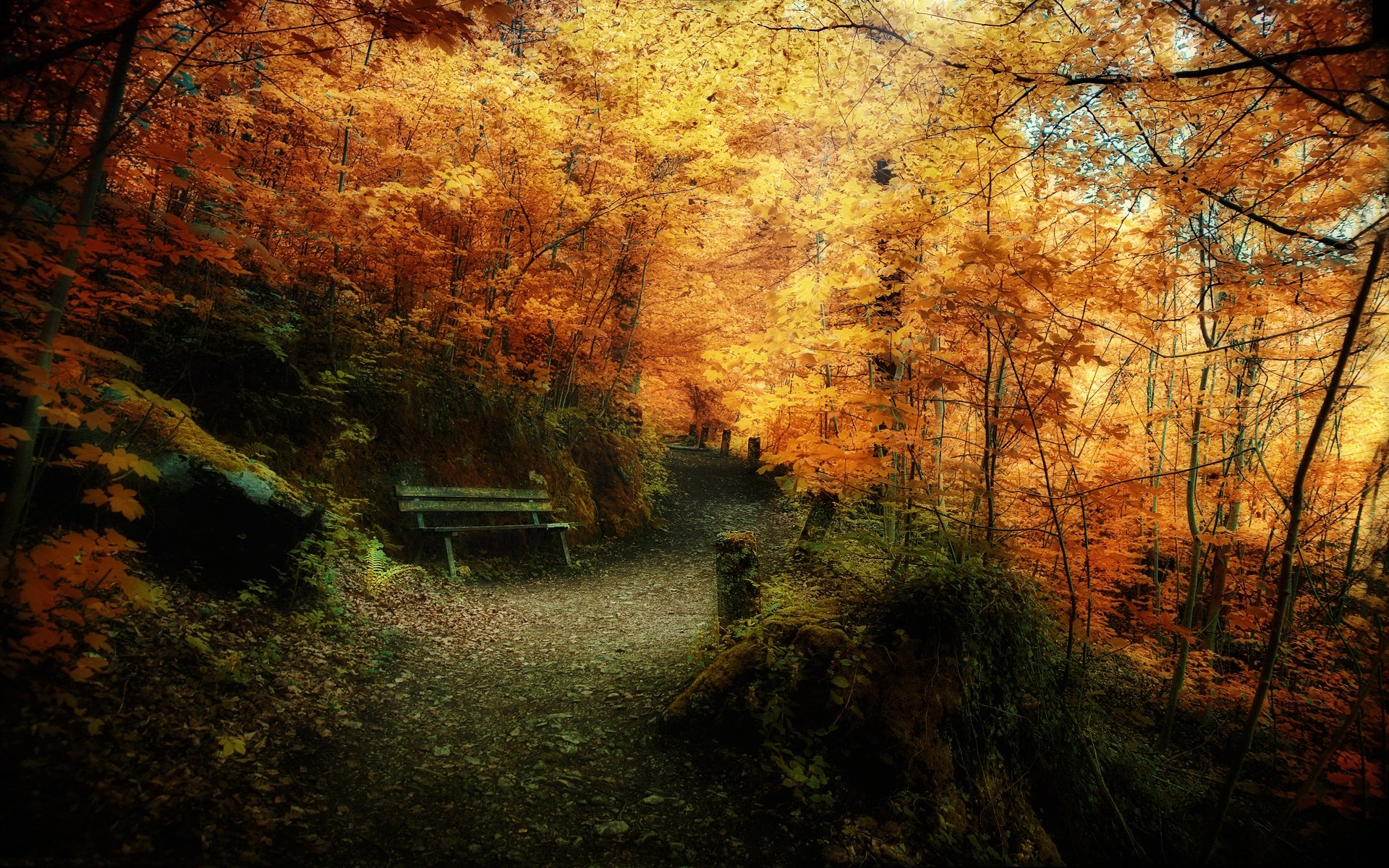 landscapes, Nature, Trees, Autumn, Leaves, Bench Wallpaper