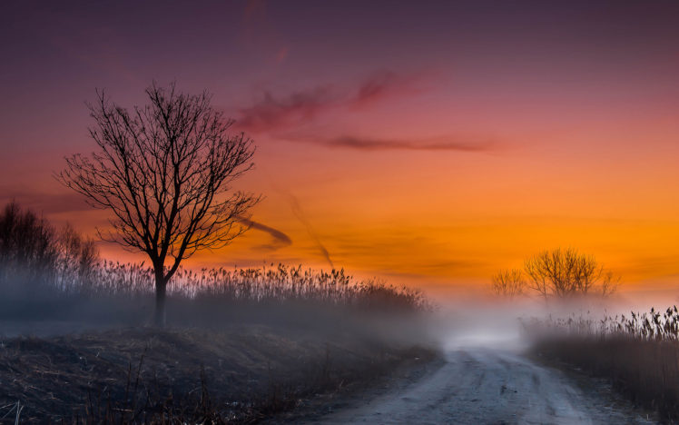 nature, Landscapes, Fog, Mist, Morning, Sunrise, Sunset, Road, Skies HD Wallpaper Desktop Background