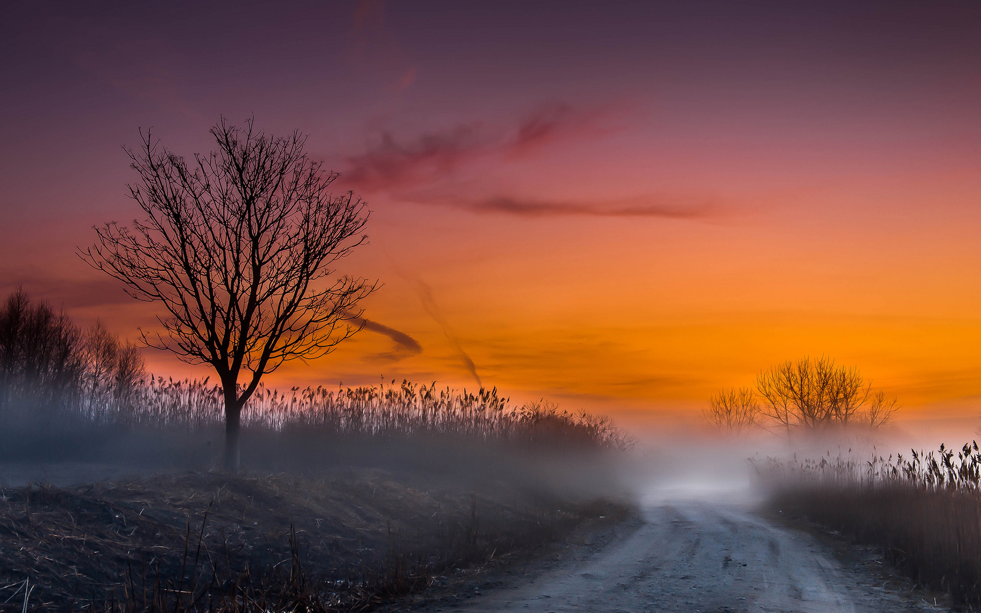nature, Landscapes, Fog, Mist, Morning, Sunrise, Sunset, Road, Skies Wallpaper