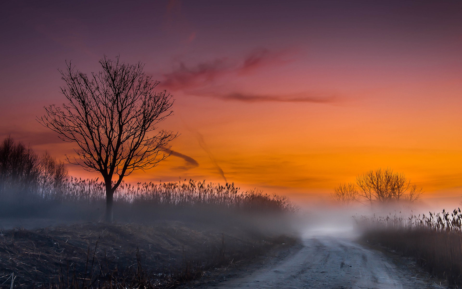 Nature, Landscapes, Fog, Mist, Morning, Sunrise, Sunset, Road, Skies ...