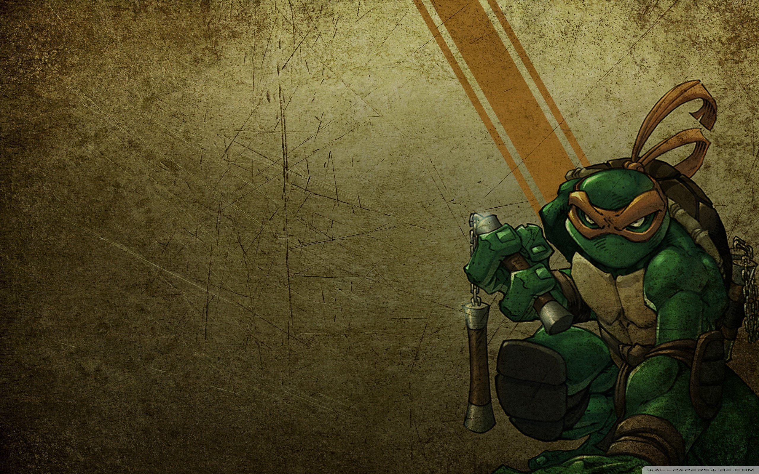 michelangelo, Teenage, Mutant, Ninja, Turtles wallpaper 2560x1600 Wallpaper