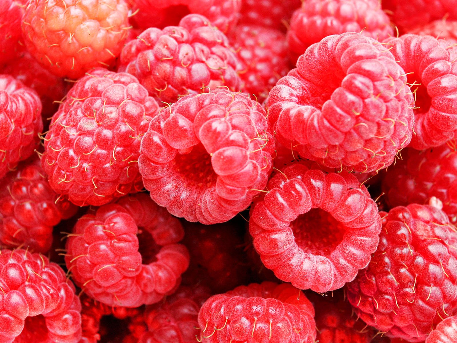 fruits, Raspberries Wallpaper