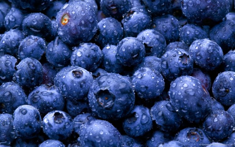 nature, Fruits, Food, Water, Drops, Berries, Blueberries HD Wallpaper Desktop Background