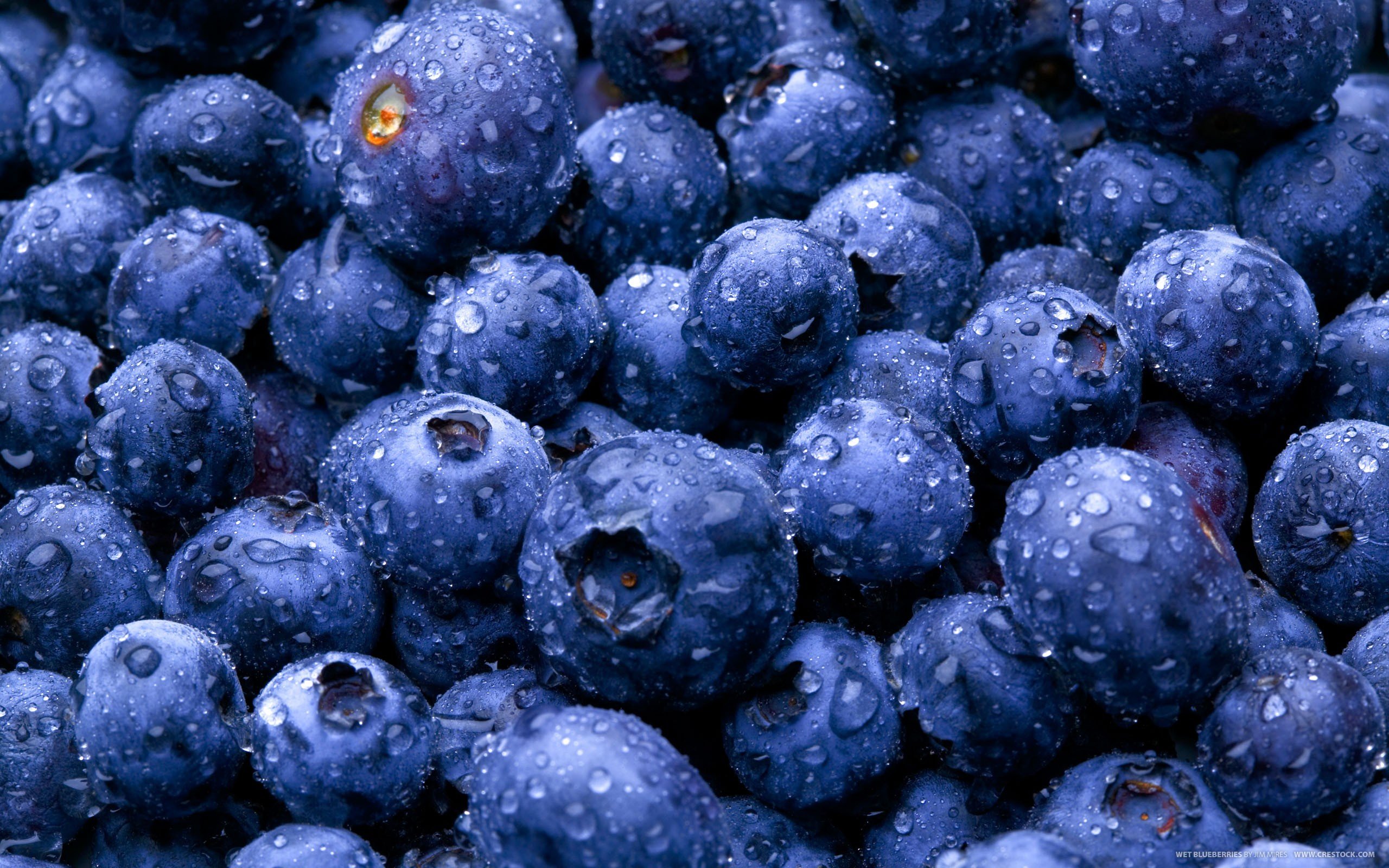 nature, Fruits, Food, Water, Drops, Berries, Blueberries Wallpaper