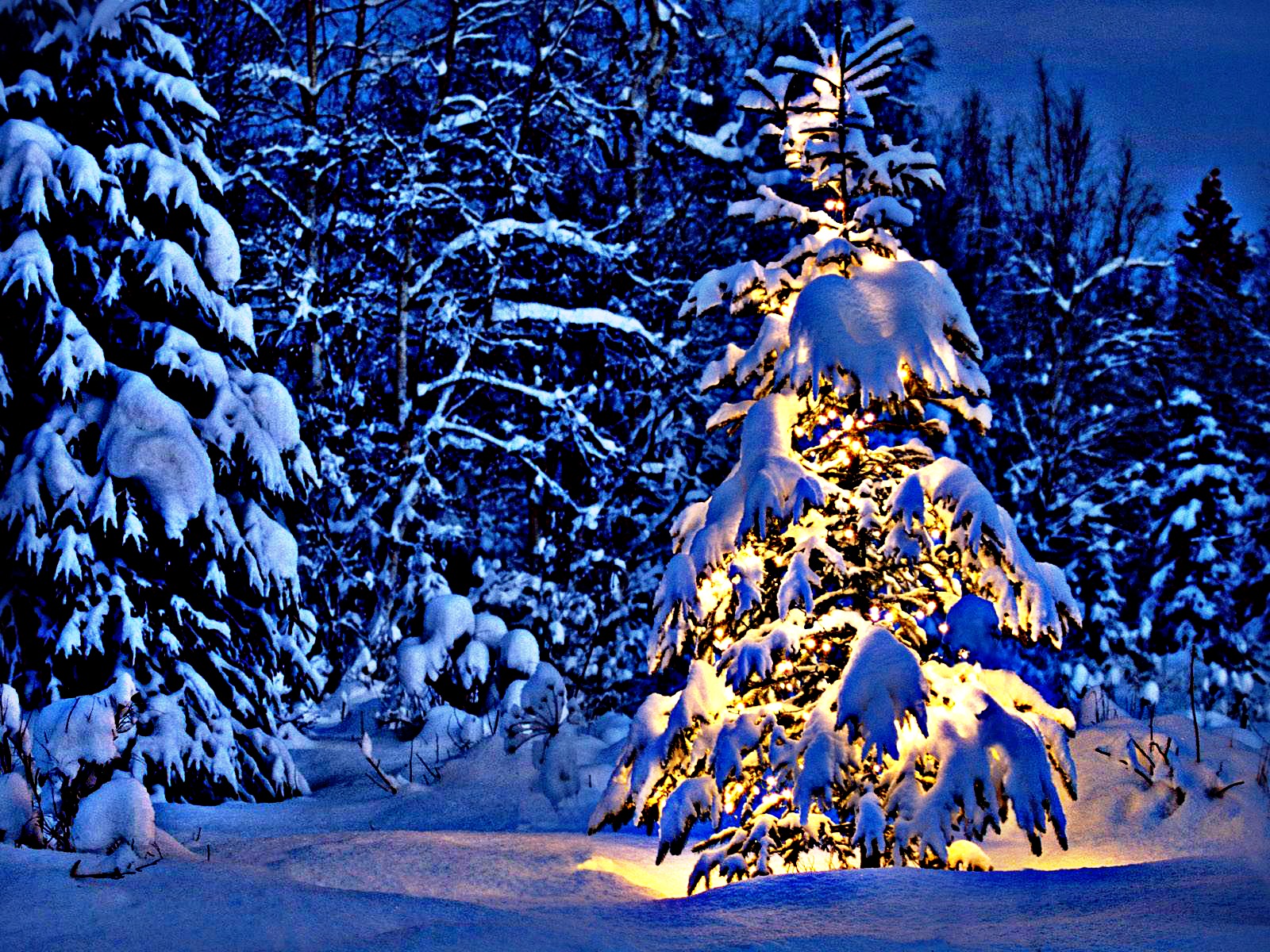 holidays, Christmas, Seasonal Wallpaper