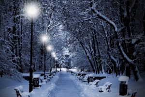 landscapes, Nature, Winter, Snow, Snowflakes, Snowing, Trees, Park, White, Night, Lights, Christmas