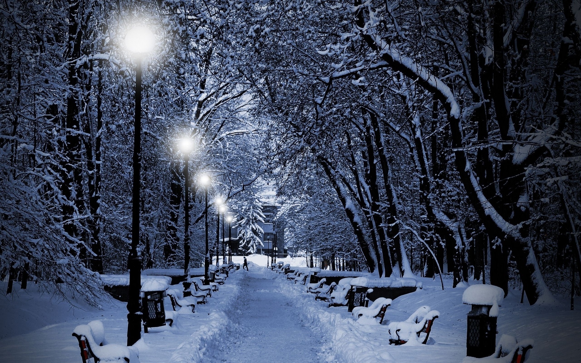 landscapes, Nature, Winter, Snow, Snowflakes, Snowing, Trees, Park, White, Night, Lights, Christmas Wallpaper