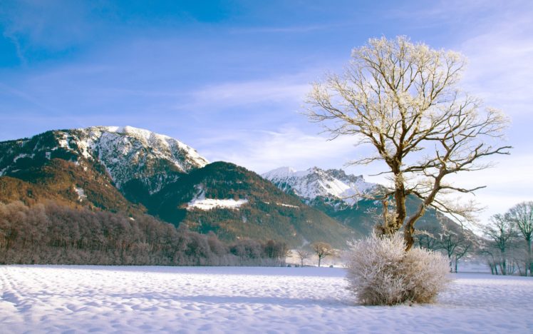 mountains, Landscapes, Nature, Winter, Snow, Trees, Forests, Skyscapes HD Wallpaper Desktop Background