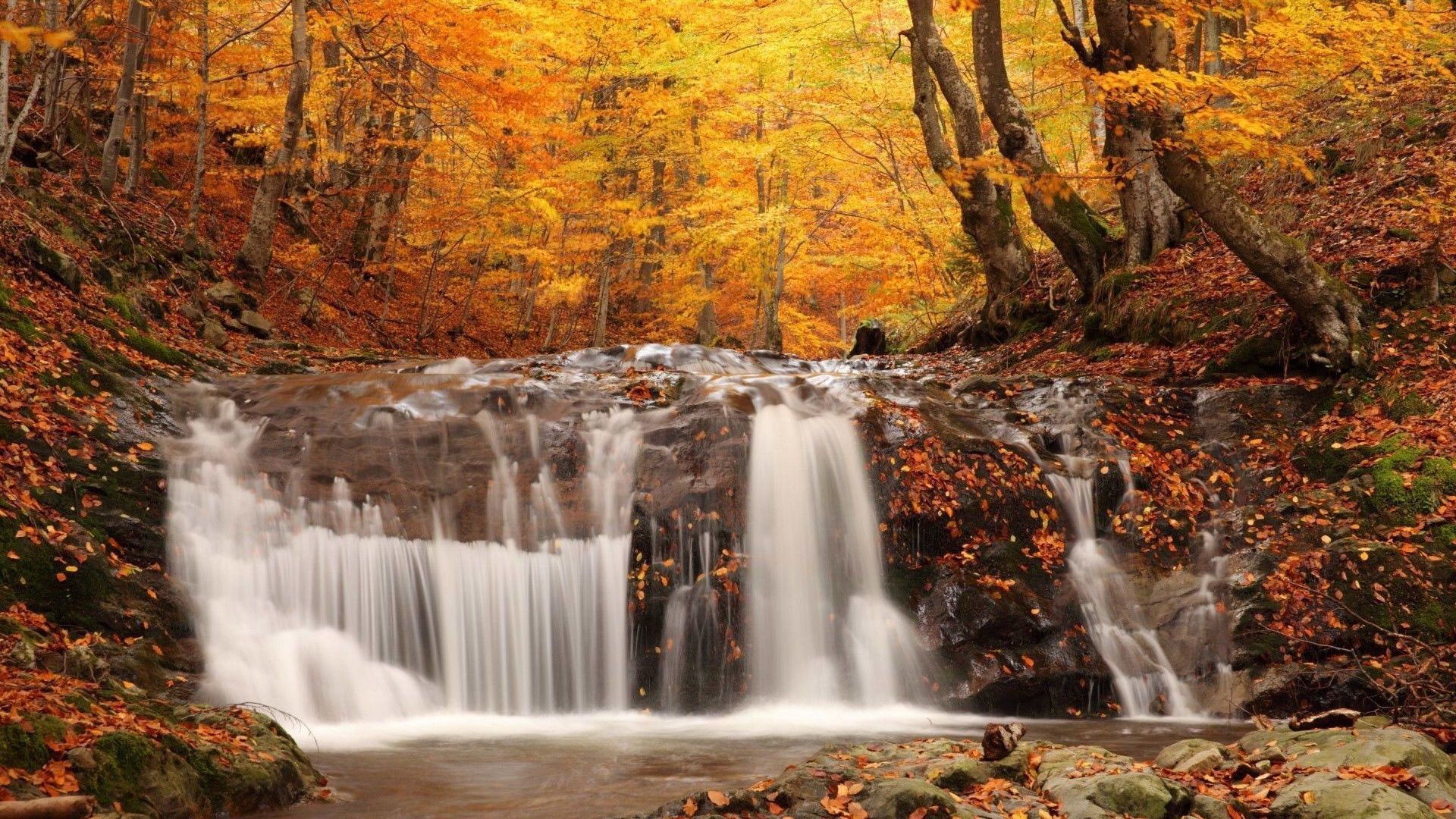 landscapes, Nature, Waterfall, Rivers, Trees, Forest, Autumn, Fall, Seasons, Leaves, Colors Wallpaper