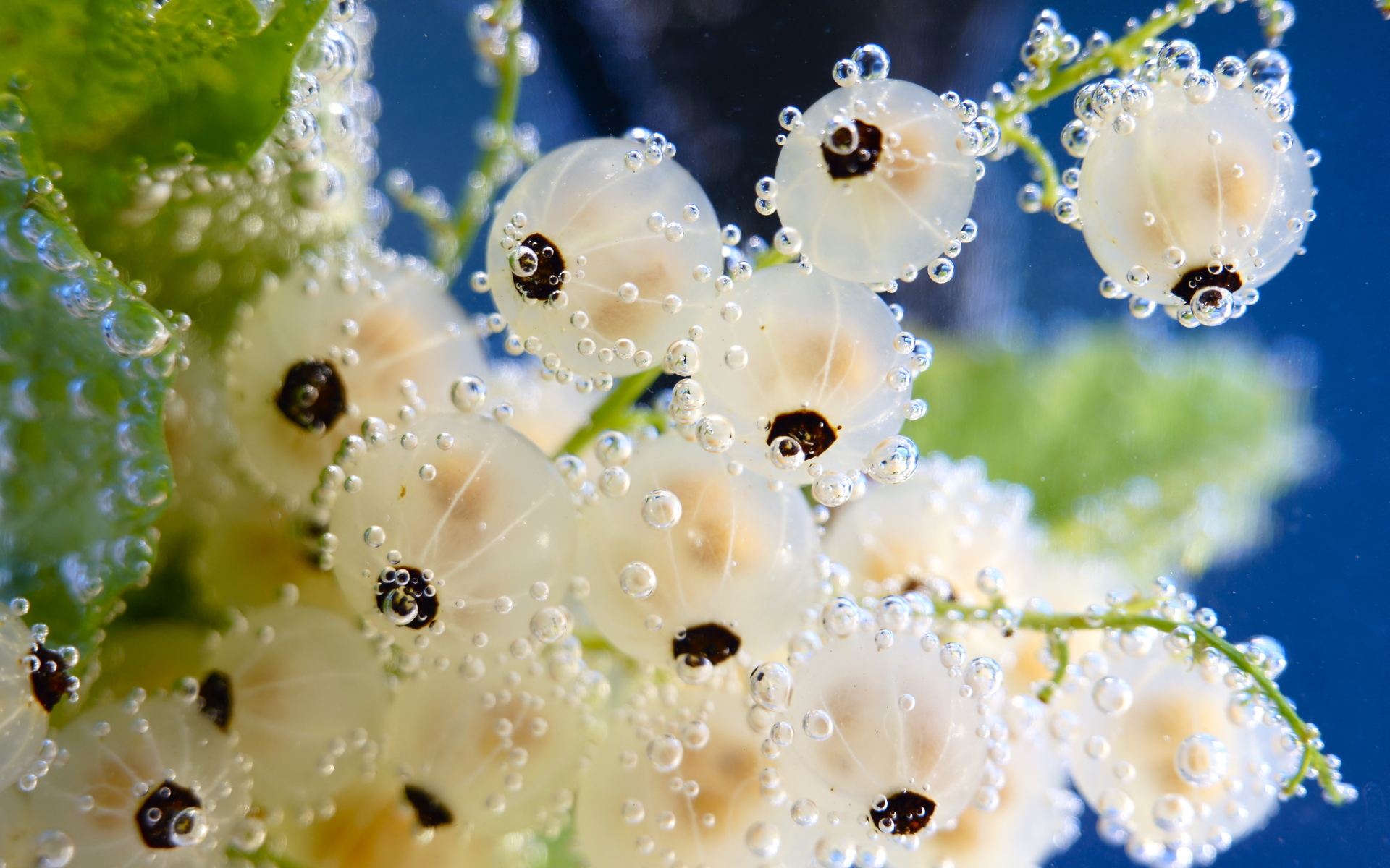 berries, Food, Drops, Bubbles, Water, Underwater, Plants, Fruit Wallpaper