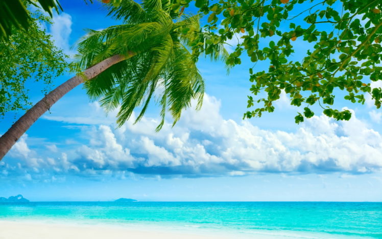 seascapes, Ocean, Sea, Tropical, Beaches, Skies, Clouds, Trees, Water HD Wallpaper Desktop Background